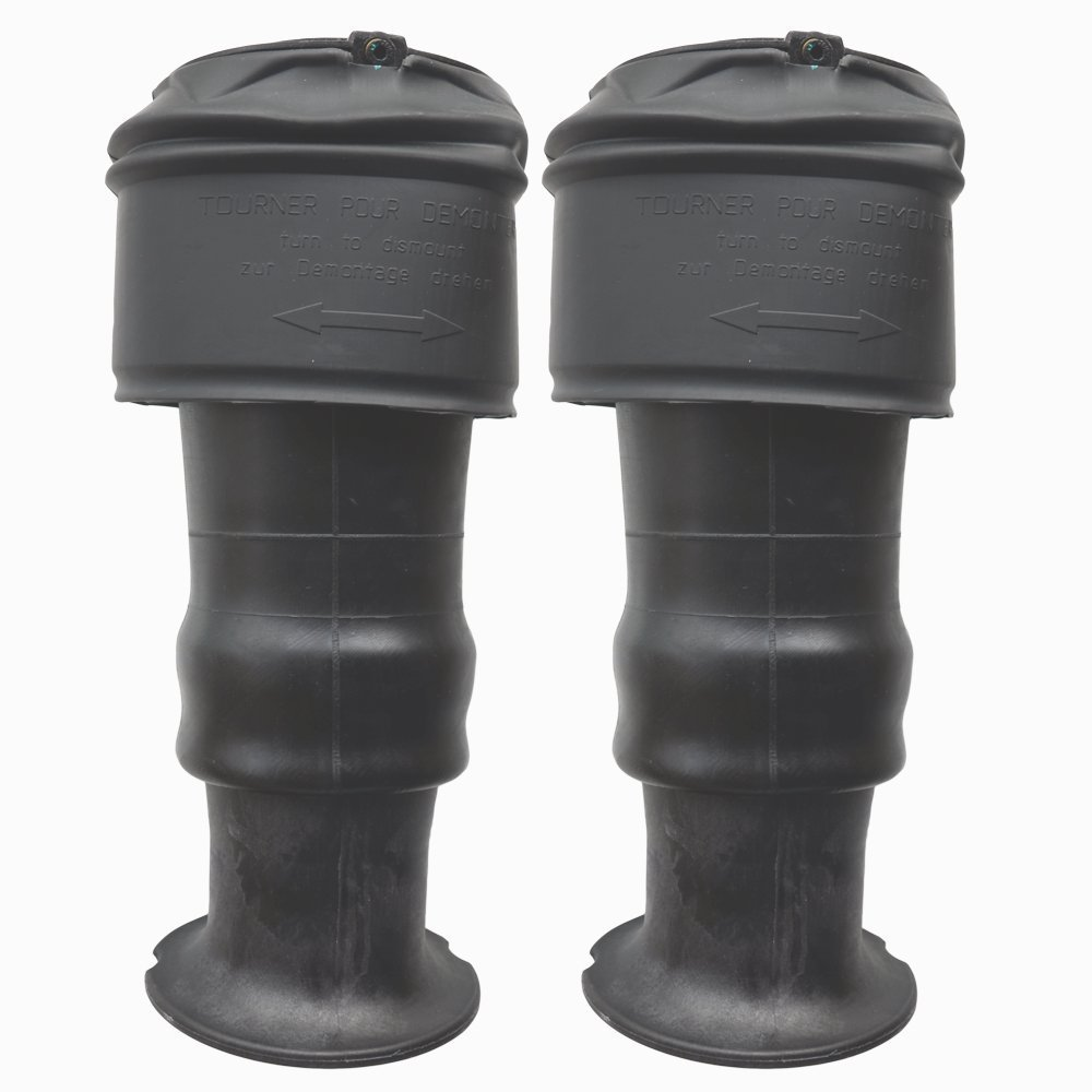 2 Amortisseur Arrière Suspension Pneumatique Pour Citroën C4 Picasso