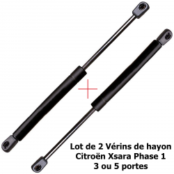 Lot de 2 Vérins de coffre hayon pour Citroën Xsara Break de 1997 à 2004