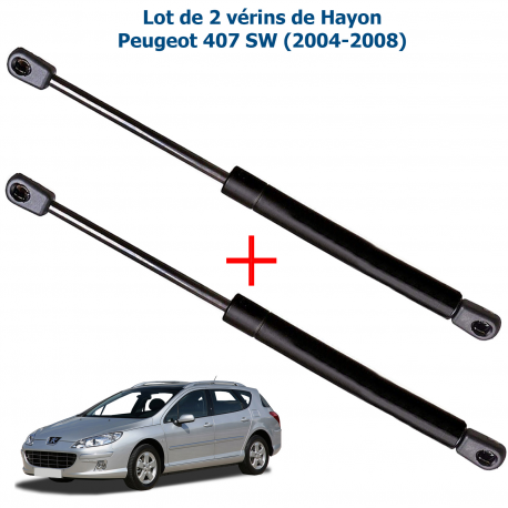 Lot de 2 Vérins de coffre hayon pour Peugeot 407 SW de 2004 à 2011